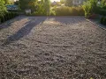 Un grand parking en gravier, bordé de haies et d'arbres, sous la lumière dorée du soleil couchant.