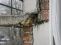 Détérioration d'un balcon en béton, avec des stalactites de glace et des traces de moisissure. Un pont thermique favorise la condensation et la dégradation.