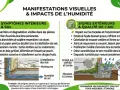 Infographie sur les manifestations et impacts de l'humidité, incluant les symptômes intérieurs, extérieurs et les solutions pour l'étanchéité mur enterré.