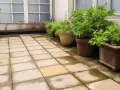 Une terrasse carrelée, prête à refaire une terrasse sur une ancienne, bordée de plantes en pots sous de grandes fenêtres.