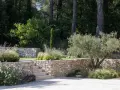 Aménagement d'un jardin en pente : terrassement paysager avec murs en pierre sèche, escalier et olivier.