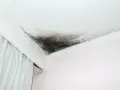Tache d'infiltration sur un plafond blanc, signe d'un problème d'humidité.