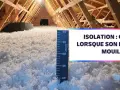 Isolation d'un grenier avec de la laine de coton. Une règle mesure l'épaisseur de l'isolant.