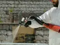 Un ouvrier en combinaison blanche applique une isolation mousse projetée sur un mur de pierres.