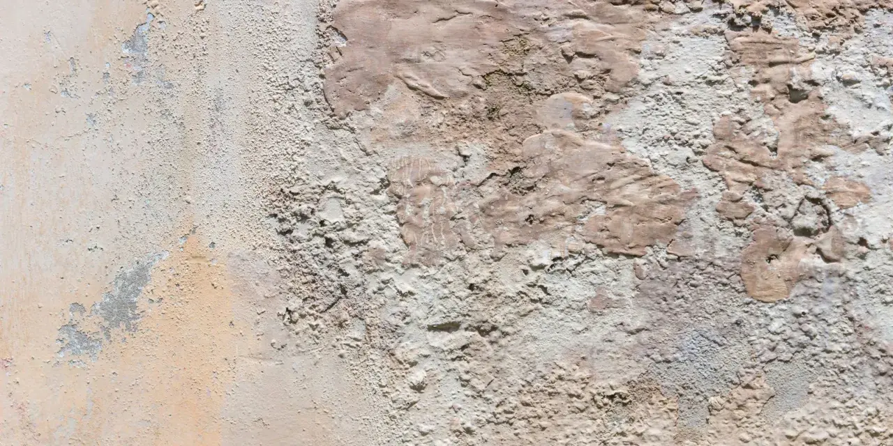 Texture d'un mur extérieur dégradé, montrant des zones de salpêtre et d'enduit écaillé, une cause visible de détérioration.