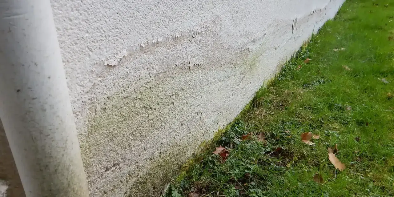 Mur extérieur présentant des traces d'humidité et de salpêtre, signes de remontées capillaires, un vice caché potentiel.