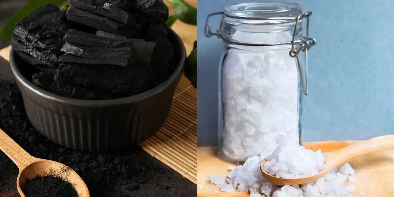 Charbon et gros sel, deux absorbeurs d'humidité naturels. Le charbon en morceaux et en poudre dans un bol, le sel dans un bocal en verre.