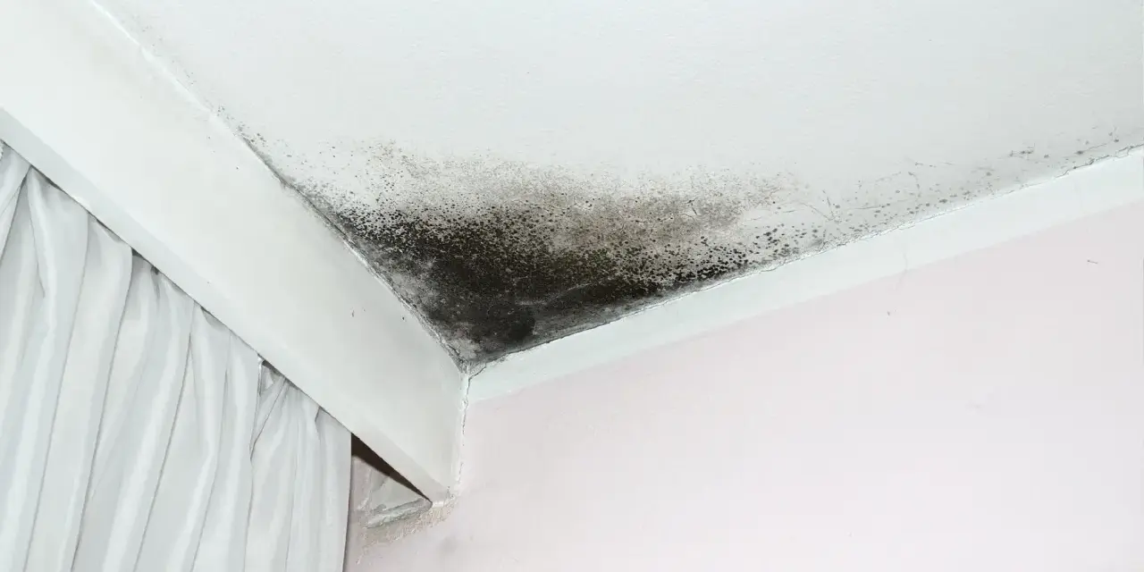 Tache d'infiltration sur un plafond blanc, signe d'un problème d'humidité.
