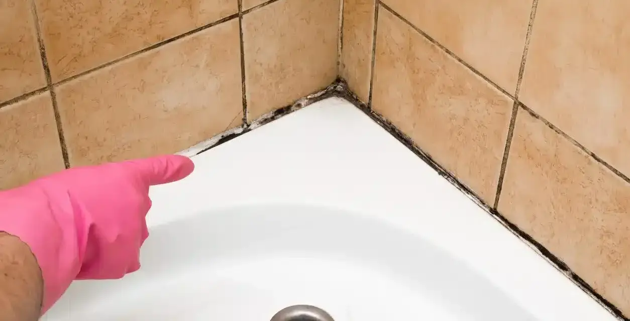 Main rose avec un gant, montrant la moisissure sur le joint de la baignoire. Il est temps d'enlever moisissure joint.
