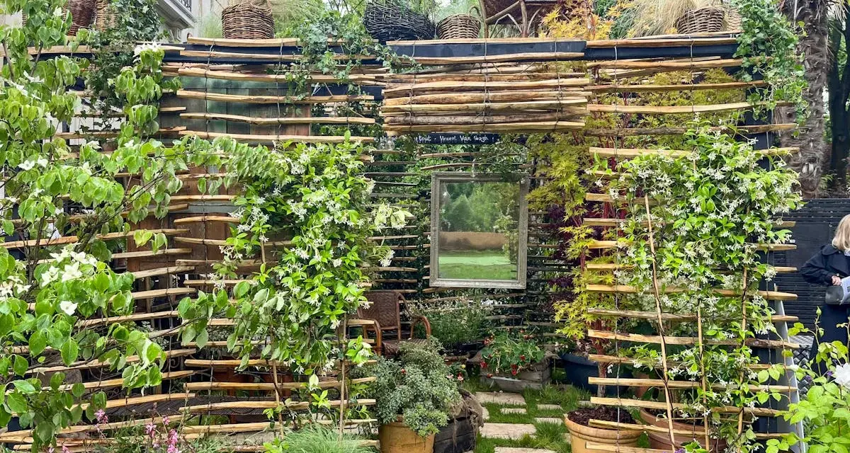 Une **pose brise vue** naturelle et luxuriante, faite de bois flotté et de plantes grimpantes, avec un miroir reflétant un paysage verdoyant.