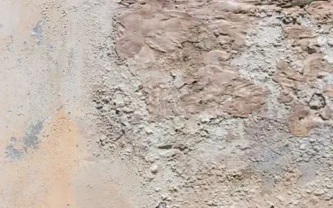 Texture d'un mur extérieur dégradé, montrant des zones de salpêtre et d'enduit écaillé, une cause visible de détérioration.