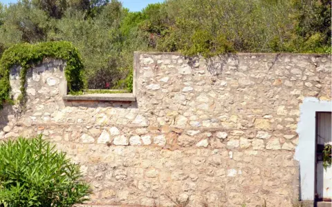 Un mur en pierre extérieur, avec des pierres irrégulières et du mortier, attend de restaurer son charme ancien. La végétation s'y accroche.