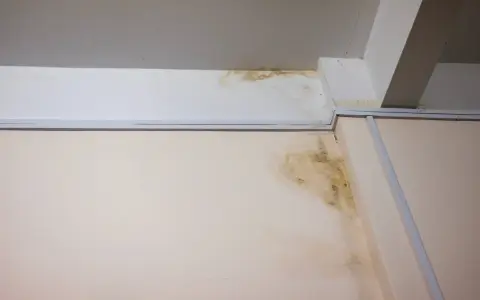 Taches de moisissure et d'humidité sur un mur et un plafond, signe d'un vice caché de maison et d'une infiltration d'eau.