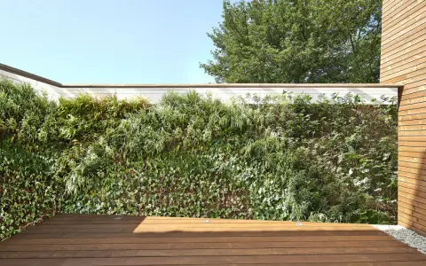 Un mur végétal luxuriant cache un vilain mur extérieur, créant un espace extérieur verdoyant et moderne avec une terrasse en bois.