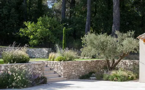Aménagement d'un jardin en pente : terrassement paysager avec murs en pierre sèche, escalier et olivier.