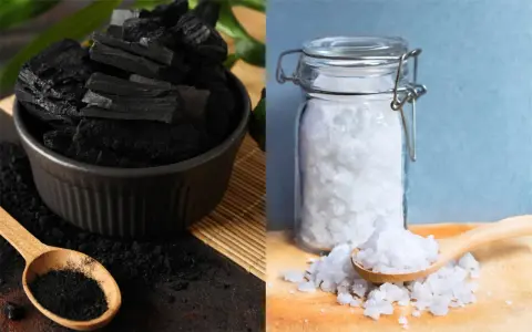 Charbon et gros sel, deux absorbeurs d'humidité naturels. Le charbon en morceaux et en poudre dans un bol, le sel dans un bocal en verre.