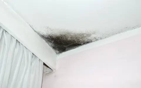 Tache d'infiltration sur un plafond blanc, signe d'un problème d'humidité.