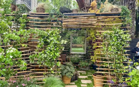 Une **pose brise vue** naturelle et luxuriante, faite de bois flotté et de plantes grimpantes, avec un miroir reflétant un paysage verdoyant.