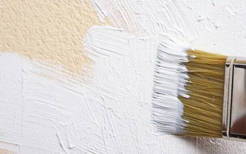 Un pinceau applique un badigeon de chaux blanc sur un mur texturé de couleur beige.