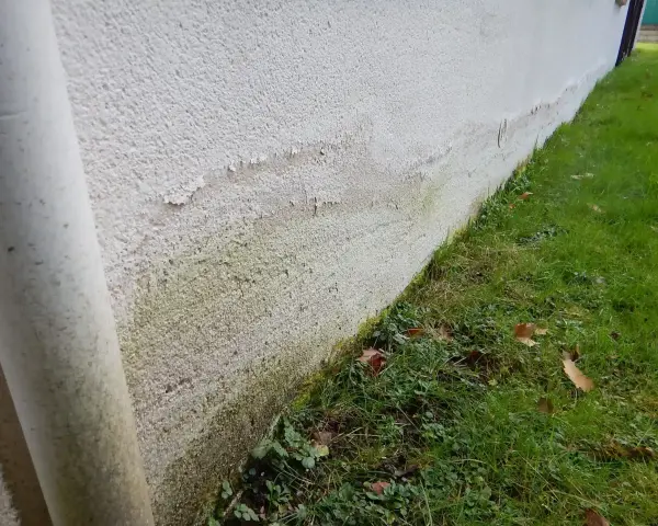 Mur extérieur présentant des traces d'humidité et de salpêtre, signes de remontées capillaires, un vice caché potentiel.