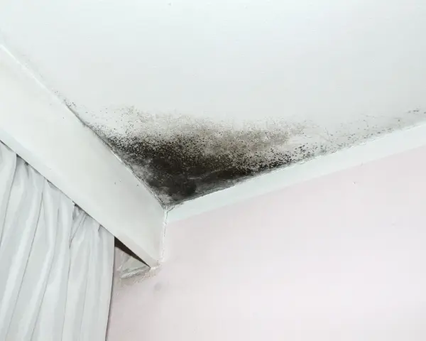 Tache d'infiltration sur un plafond blanc, signe d'un problème d'humidité.