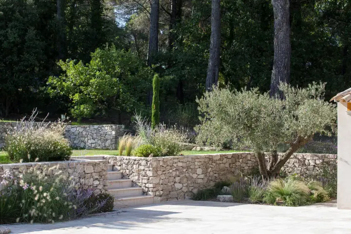 Aménagement d'un jardin en pente : terrassement paysager avec murs en pierre sèche, escalier et olivier.
