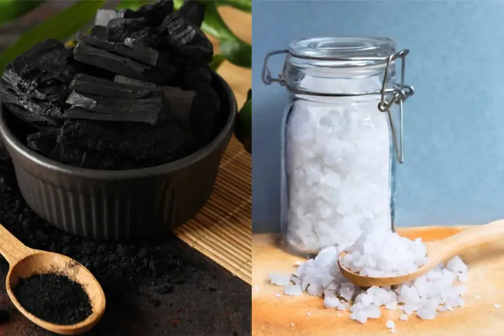 Charbon et gros sel, deux absorbeurs d'humidité naturels. Le charbon en morceaux et en poudre dans un bol, le sel dans un bocal en verre.