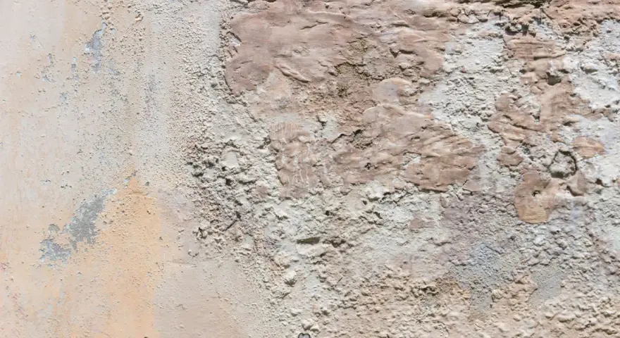 Texture d'un mur extérieur dégradé, montrant des zones de salpêtre et d'enduit écaillé, une cause visible de détérioration.