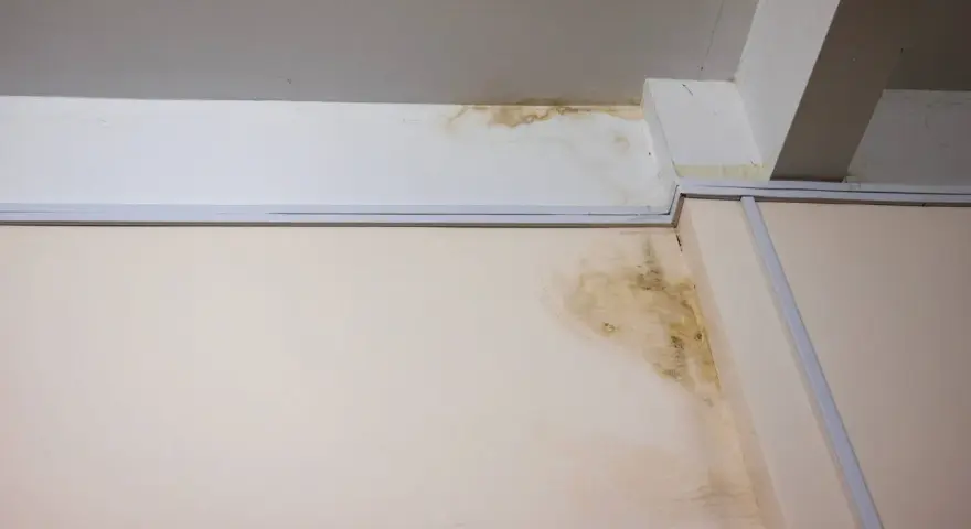 Taches de moisissure et d'humidité sur un mur et un plafond, signe d'un vice caché de maison et d'une infiltration d'eau.