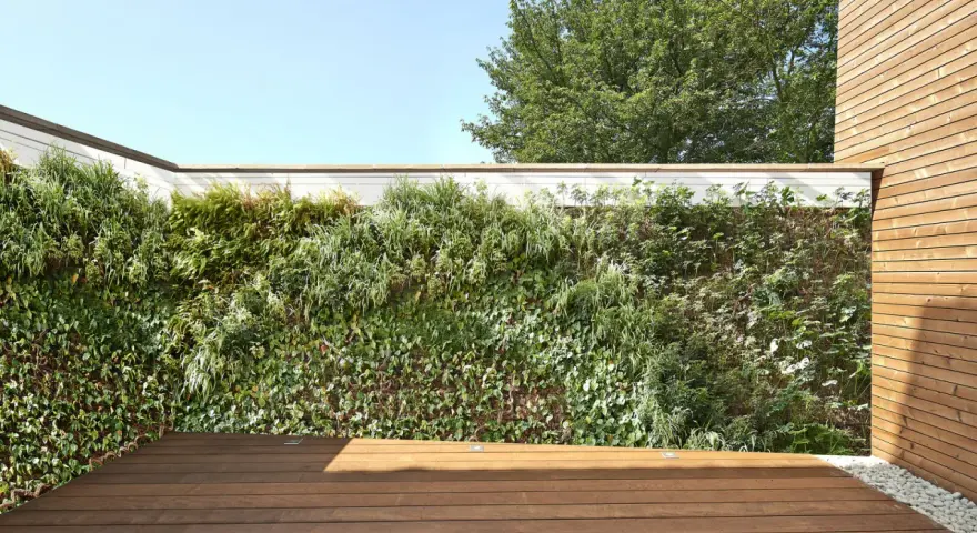 Un mur végétal luxuriant cache un vilain mur extérieur, créant un espace extérieur verdoyant et moderne avec une terrasse en bois.