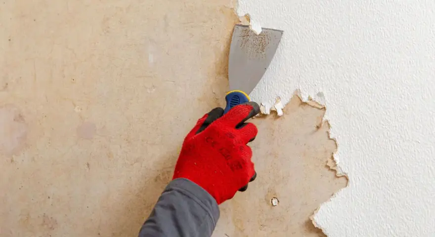 Main tenant utilise un grattoir pour décoller papier peint ancien sur un mur.