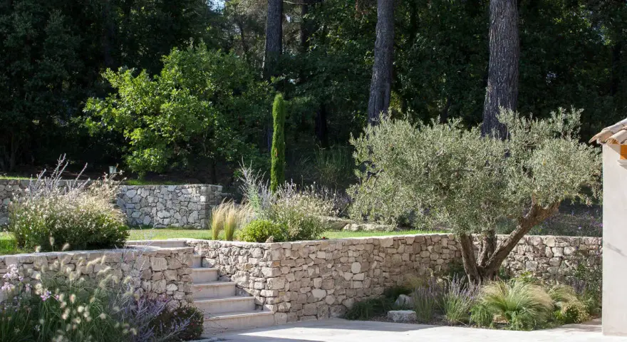 Aménagement d'un jardin en pente : terrassement paysager avec murs en pierre sèche, escalier et olivier.