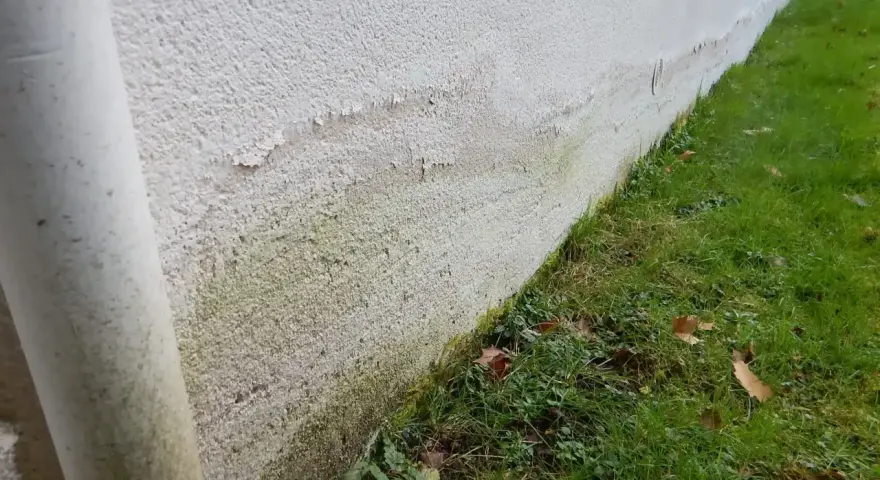 Mur extérieur présentant des traces d'humidité et de salpêtre, signes de remontées capillaires, un vice caché potentiel.
