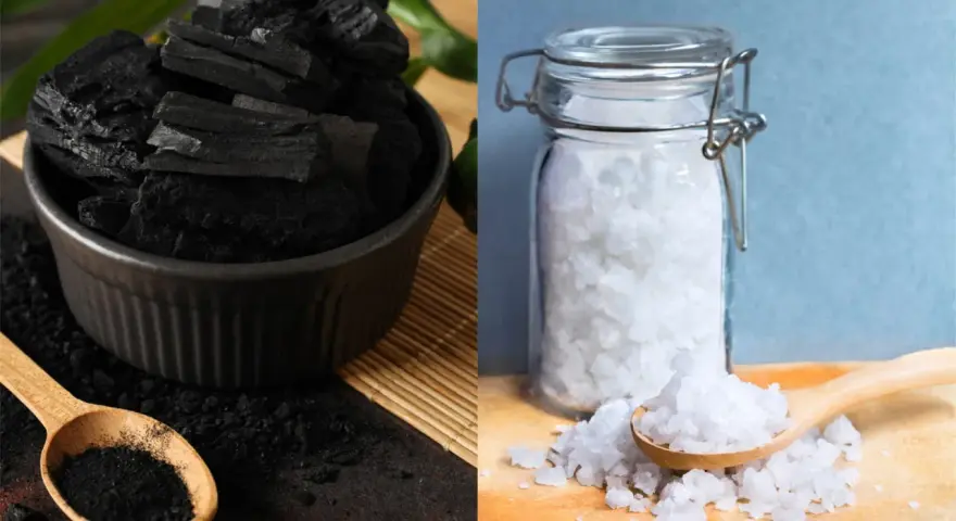 Charbon et gros sel, deux absorbeurs d'humidité naturels. Le charbon en morceaux et en poudre dans un bol, le sel dans un bocal en verre.