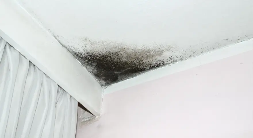 Tache d'infiltration sur un plafond blanc, signe d'un problème d'humidité.
