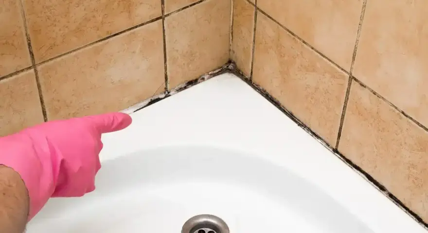 Main rose avec un gant, montrant la moisissure sur le joint de la baignoire. Il est temps d'enlever moisissure joint.