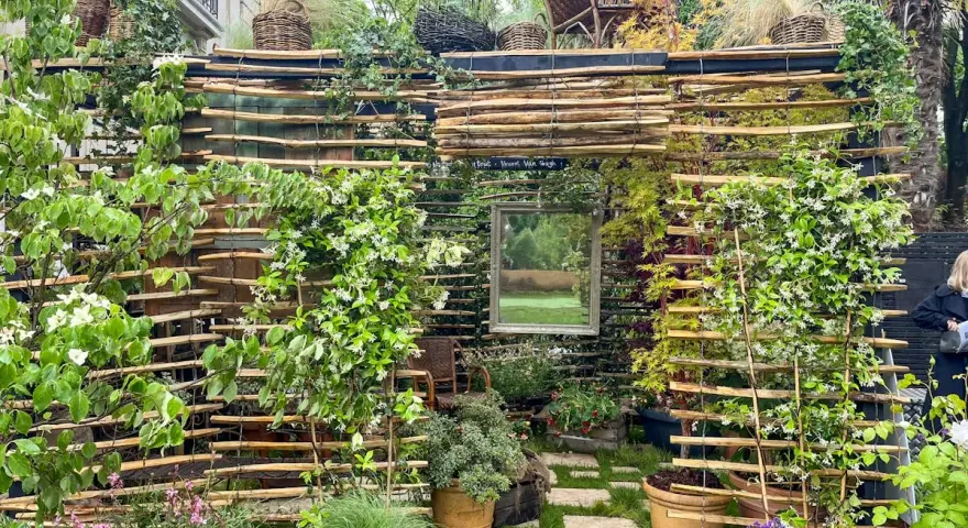 Une **pose brise vue** naturelle et luxuriante, faite de bois flotté et de plantes grimpantes, avec un miroir reflétant un paysage verdoyant.