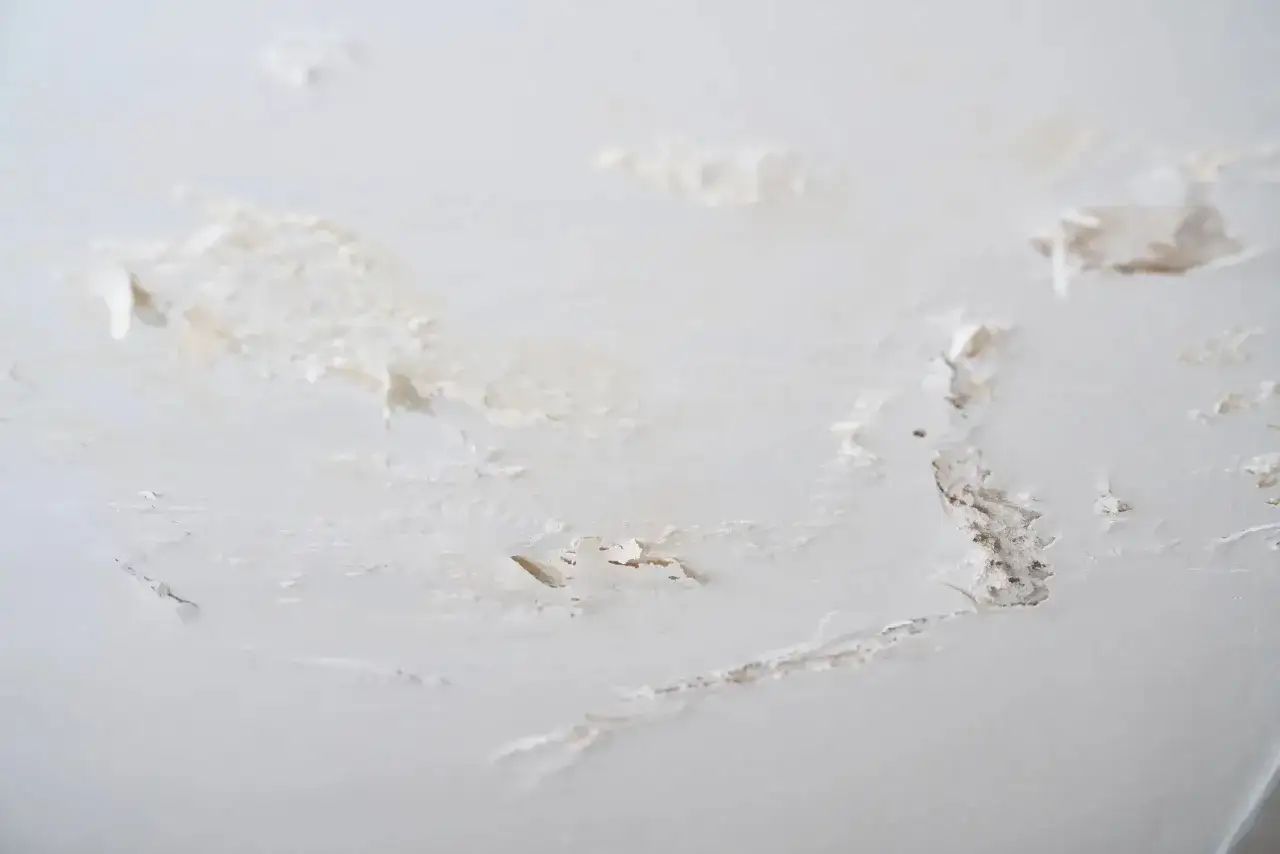 D&eacute;t&eacute;rioration d'un mur int&eacute;rieur, peinture &eacute;caill&eacute;e, possible salp&ecirc;tre mur ext&eacute;rieur cause.