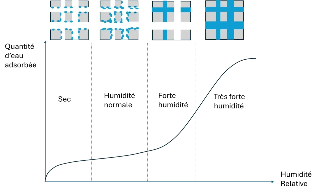Sch&eacute;ma illustrant l'absorption d'eau par un absorbeur d'humidit&eacute; naturel, montrant la progression de l'eau dans la structure poreuse.