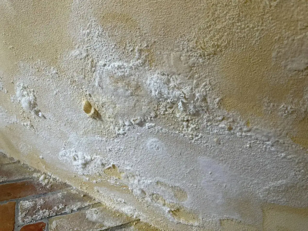 D&eacute;tail d'un mur jauni avec des efflorescences blanches, signe de remont&eacute;es capillaires, un vice cach&eacute; potentiel.
