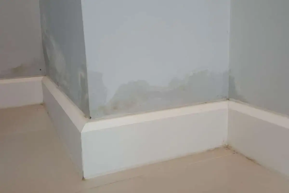 Coin de mur avec enduit neuf présentant une trace blanche, signe d'une humidité ascendante ou d'un problème d'étanchéité.