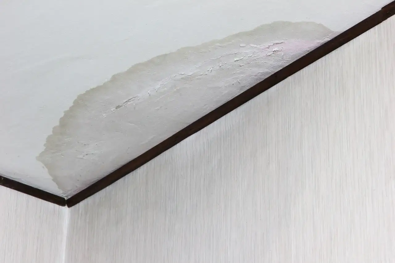 Tache d'infiltration sur un plafond blanc, signe d'un probl&egrave;me d'humidit&eacute;.