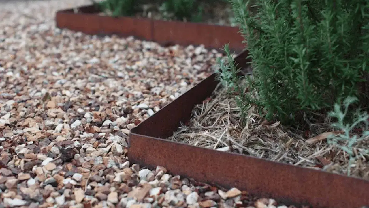 Bordure de jardin en m&eacute;tal rouill&eacute;, s&eacute;parant un parterre de gravier d'une plante verte.