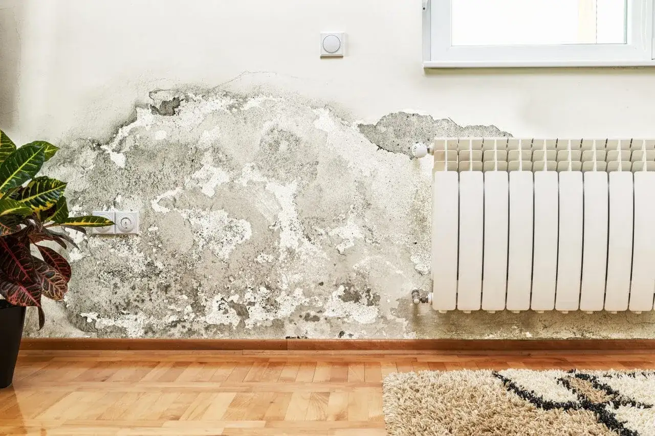 Un mur abîmé par l'humidité, avec des traces de moisissure et de peinture écaillée, attend d'être réparé.