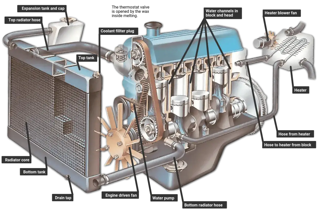 Schéma d'un moteur montrant le circuit du fluide caloporteur du radiateur, avec ses composants clés comme le radiateur, la pompe à eau et les canaux de refroidissement.